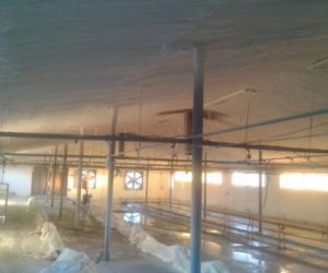 tavuk-mantar-ciftlikleri-yalitimi-727x409 tavuk-mantar-ciftlikleri-yalitimi-727x409